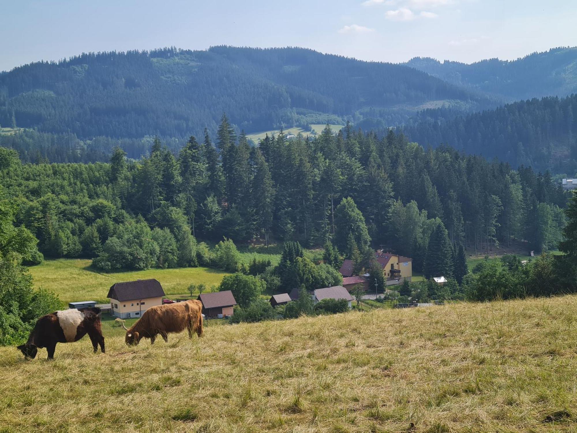 Penzion Na Lukach Horni Becva Exterior foto